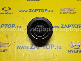 25287-27000 Ролик приводного ремня Hyundai Santa Fe